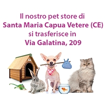 Notizie dal blog: Il pet shop di Santa Maria Capua Vetere si trasferisce