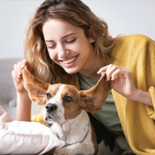 Notizie dal blog: Attività da fare con il tuo cane durante l'inverno