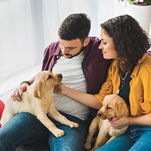 Notizie dal blog: Cosa sapere prima di accogliere un animale domestico