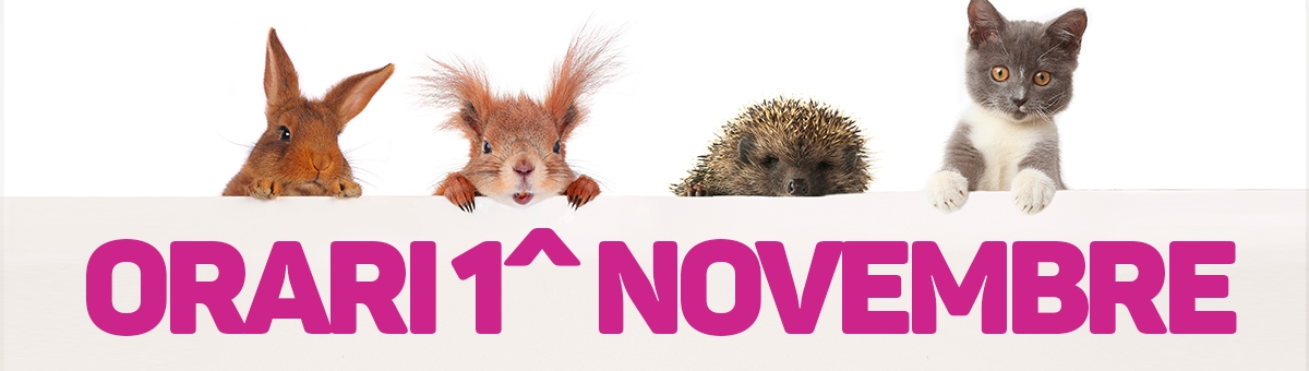 Orari 1^ Novembre