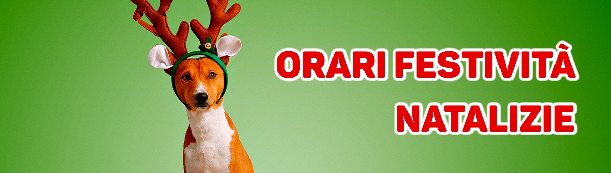 Orari Festivit&agrave; natalizie