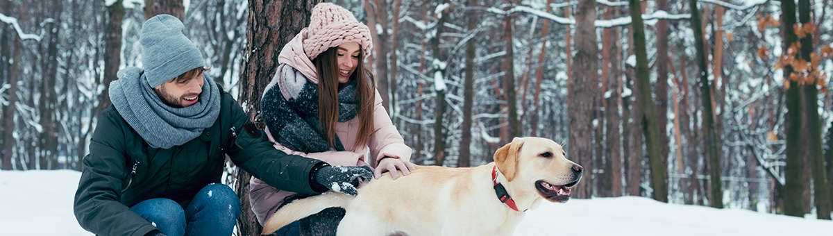 Vacanze invernali con i nostri amici a 4 zampe
