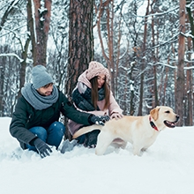 Notizie dal blog: Vacanze invernali con i nostri amici a 4 zampe