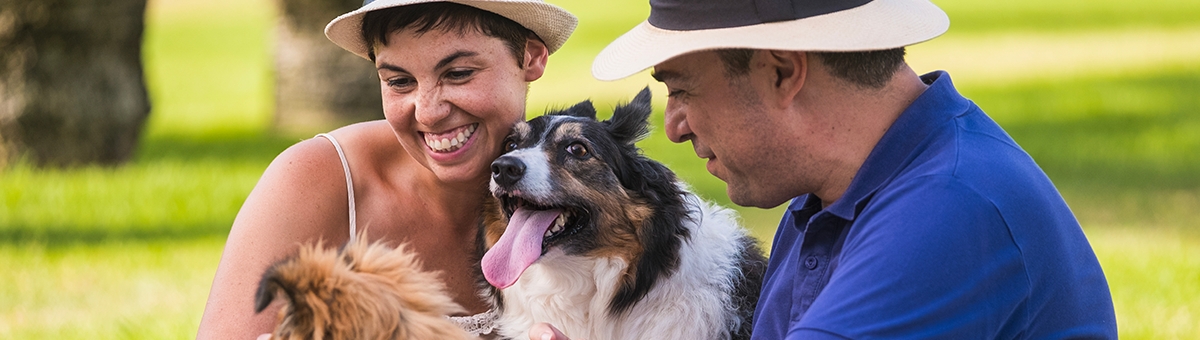 L'abbandono degli animali in estate