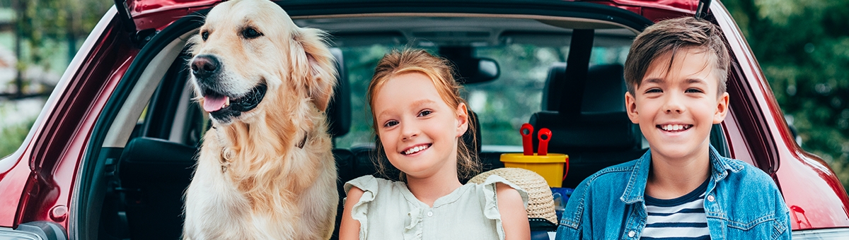 A cosa devo prestare attenzione in viaggio con il cane?