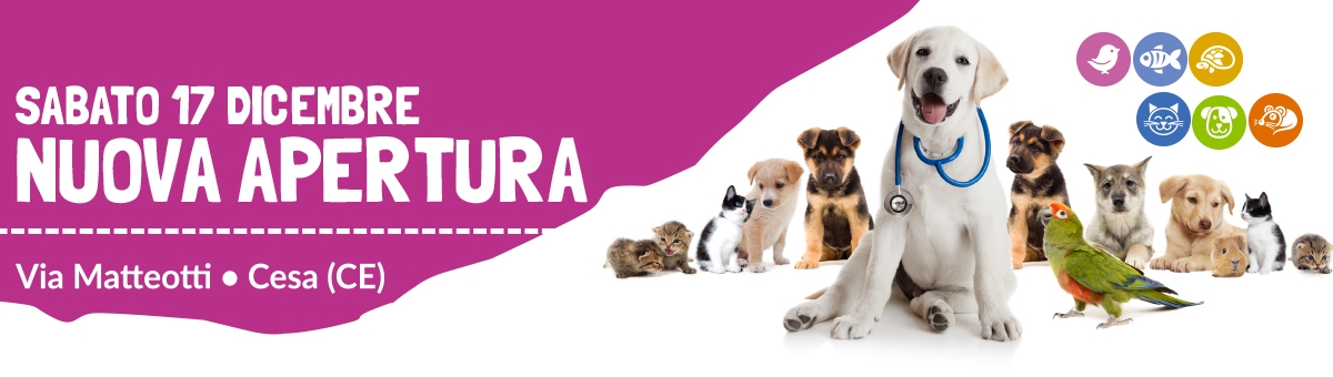 Nuova apertura - Sabato 17 dicembre - Cesa
