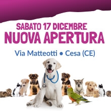 Notizie dal blog: Nuova apertura - Sabato 17 dicembre - Cesa