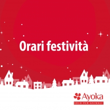 Notizie dal blog: Orari festività Dicembre - Gennaio 2017