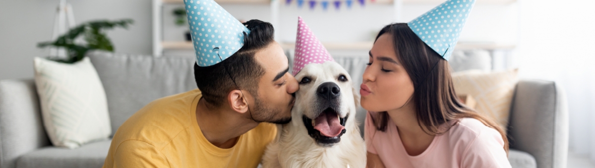 Come calcolare l’età del tuo pet?
