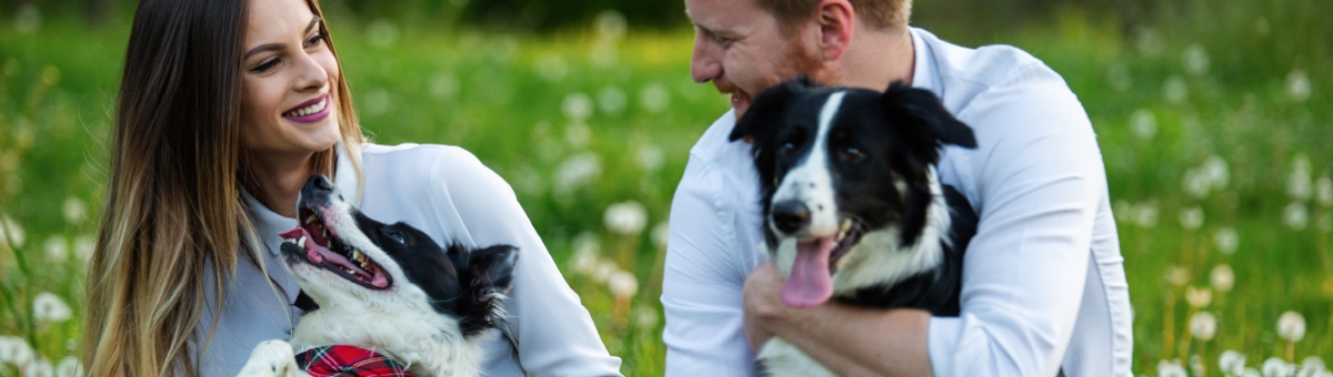 Quali sono le razze di cani più fedeli al padrone?