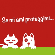 Notizie dal blog: Ayoka Pet Day