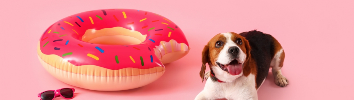Animali in piscina: quali sono i rischi che si possono correre?