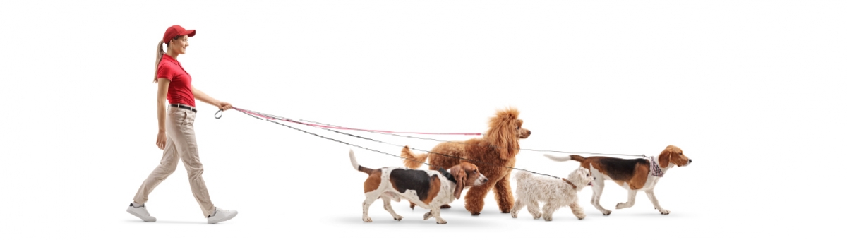 Animali e pet sitter: come scegliere un professionista per la cura del tuo pet