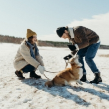 Notizie dal blog: Animali domestici e neve: ecco cosa devi sapere