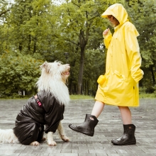 Notizie dal blog: Come intrattenere gli animali domestici in casa quando piove