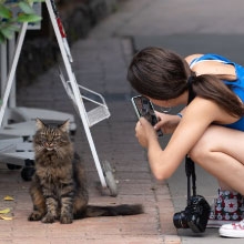 Notizie dal blog: Idee per fotografare il tuo animale domestico con stile