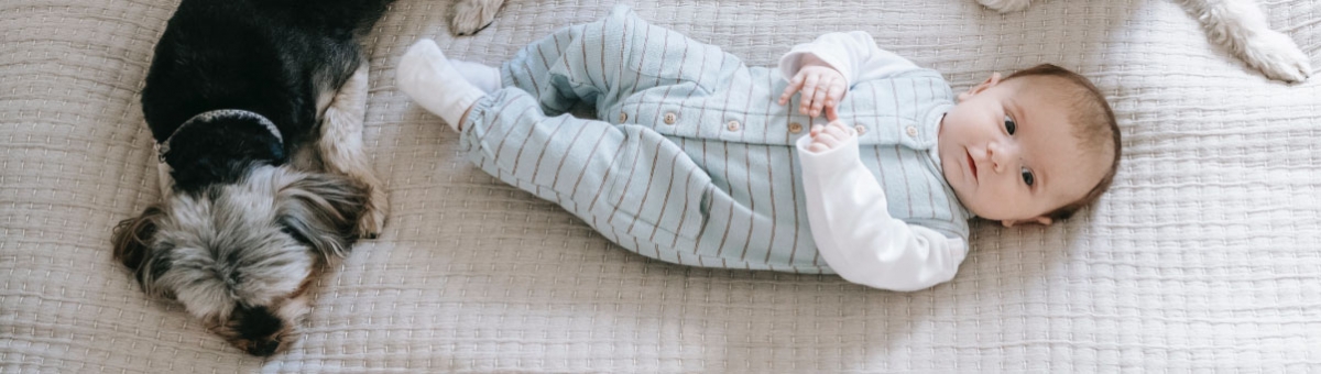 Cane e bambino: come creare un ambiente sicuro e armonioso