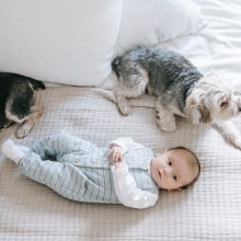 Notizie dal blog: Cane e bambino: come creare un ambiente sicuro e armonioso