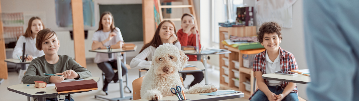 I pet a scuola per migliorare la didattica