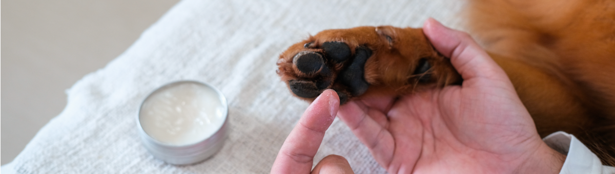 Prenditi cura delle sue zampe