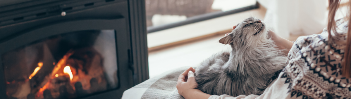 Il freddo scatena la voglia di coccole de gatto