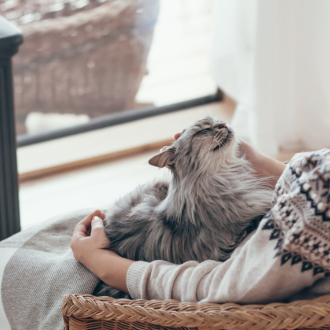 Notizie dal blog: Il freddo scatena la voglia di coccole de gatto