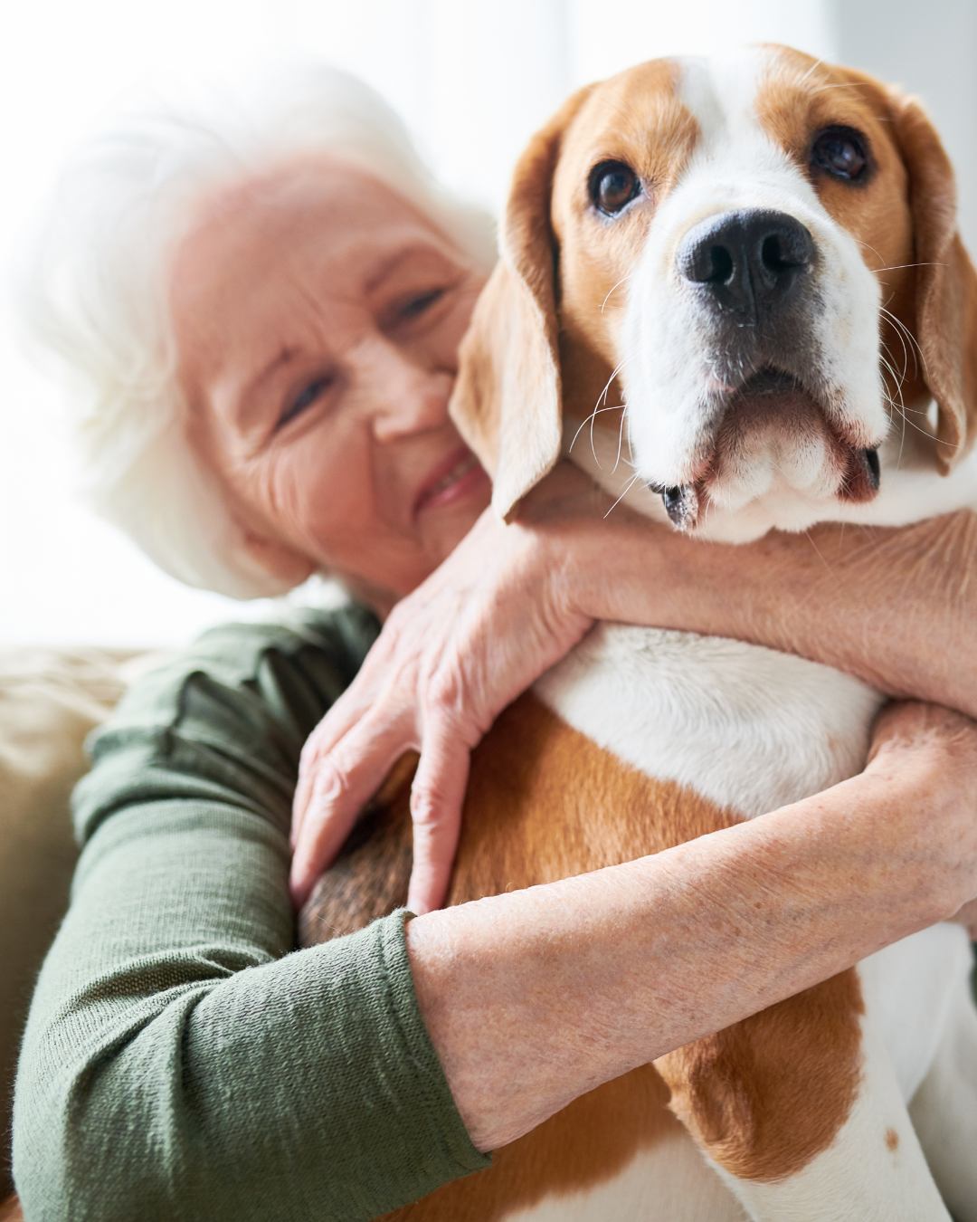 Notizie dal blog: Ayoka Over 65