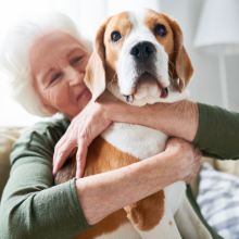 Notizie dal blog: Sconto Over 65