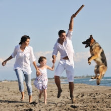 Notizie dal blog: Con il cane al mare