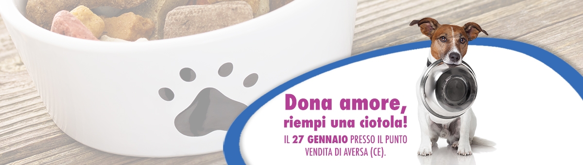 Raccolta alimentare - 27 gennaio - Aversa (CE)