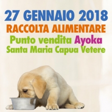 Notizie dal blog: Raccolta alimentare - 27 gennaio - Santa Maria Capua Vetere (CE)