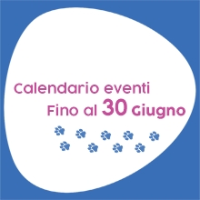 Notizie dal blog: Calendario eventi fino al 30 giugno