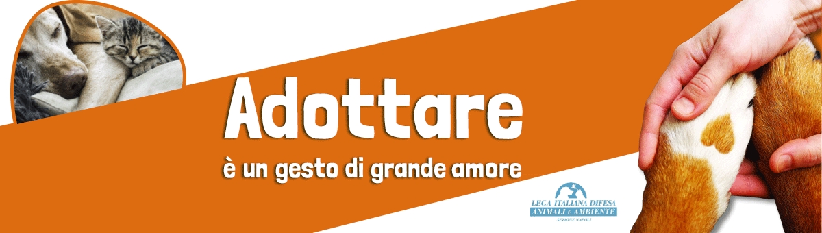 Adottare è un gran gesto d'amore: Ayoka con Leidaa, inizia la collaborazione!