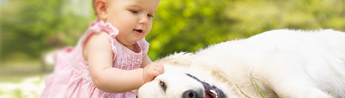 Bambini e animali: tutto quello che c'è da sapere